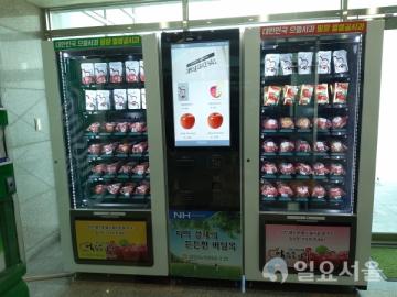 밀양얼음골사과 자판기 시범 설치
